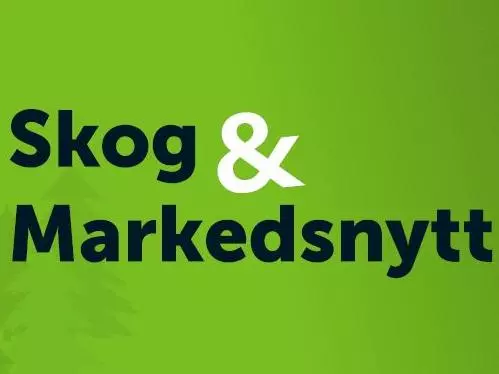 Skog & markedsnytt er et nytt digitalt tilbud. Her får du siste nytt om tømmermarkedet og annen skogfaglig kompetanse som lønner seg rett hjem til deg. 