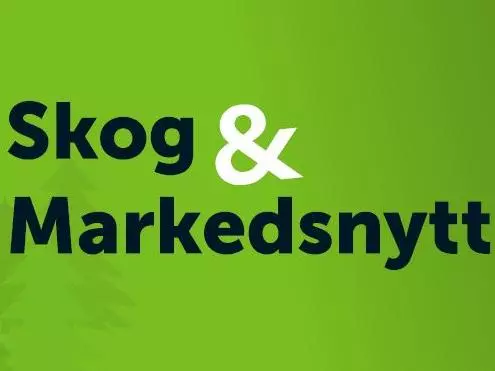 Skog & markedsnytt er et nytt digitalt tilbud. Her får du siste nytt om tømmermarkedet og annen skogfaglig kompetanse som lønner seg rett hjem til deg. 