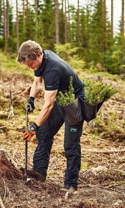 Arbeidshverdagen til en skogkulturansvarlig ser ganske ulik ut på vinteren og om sommeren. Om vinteren kreves det systematisk planleggingsarbeid, og mye kontorarbeid. En kan gjerne avspasere en del om vinteren. Sommerhalvåret er det «mer fart». En må være effektiv. En stor del av jobben er logistikk.