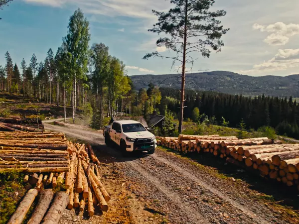 Økning i tømmerprisene