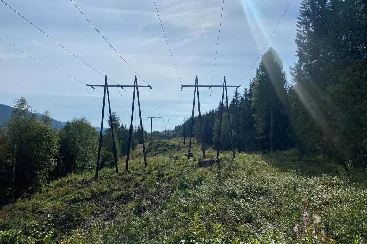 Mange tusen grunneiere i Norge som tilfeldigvis har en kraftlinje over eiendommen sin, står i fare for å betale eiendomsskatt for grunnen under Statnetts kraftlinjer. Nå varsler regjeringen lovendring, skriver Norges Skogeierforbund. At produktiv skog som ikke er økonomisk drivverdig grunnet kraftlinje plutselig skal utløse eiendomsskatt for grunneier er uhørt.