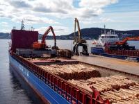 Vil du jobbe med eksport av tømmer?