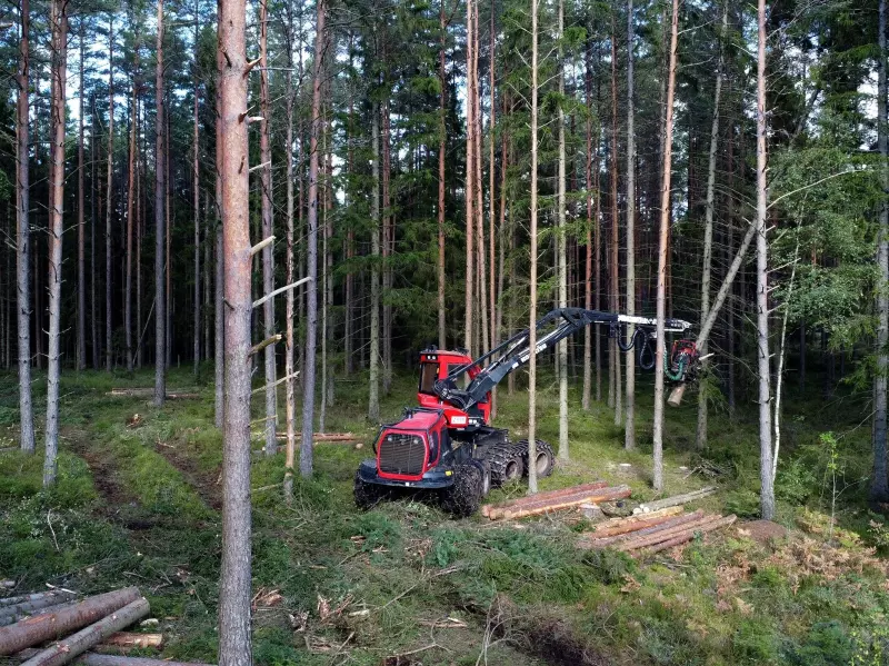 Øker kompetansen på lukkede hogstformer