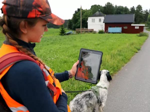 Etterspørselen etter skogbiologisk kompetanse øker, og det gir oss muligheten til å styrke vår kvalitets- og miljøavdeling. Nå er vi på jakt etter en skogbiologisk rådgiver.