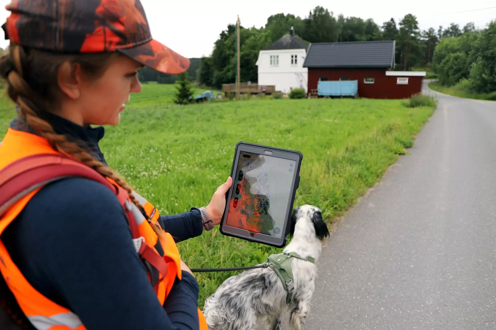 Etterspørselen etter skogbiologisk kompetanse øker, og det gir oss muligheten til å styrke vår kvalitets- og miljøavdeling. Nå er vi på jakt etter en skogbiologisk rådgiver.