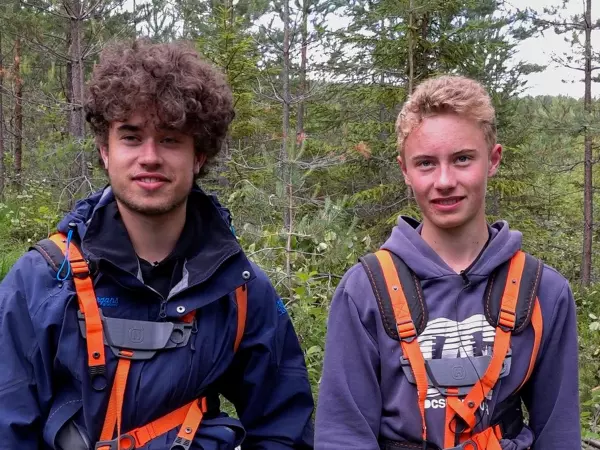 Et godt stell av skogen din vil du aldri angre på. For med avstandsregulering og løvrydding vil skogen bli mye mer verd den dagen den skal hogges. Billig er det også.