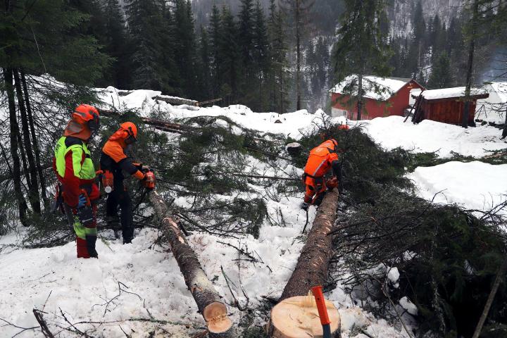 Frykter for fremtiden for fire skogskoler