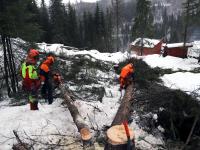 Frykter for fremtiden for fire skogskoler