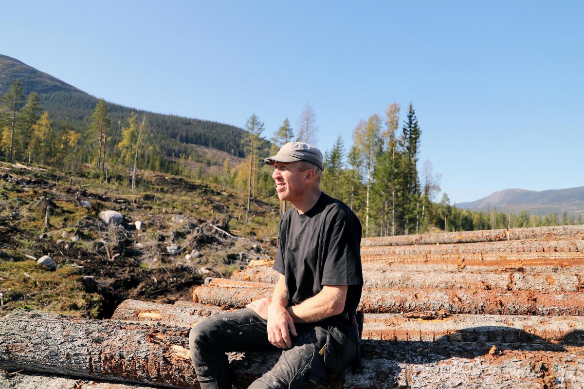 Anders Storruste, Hedalen