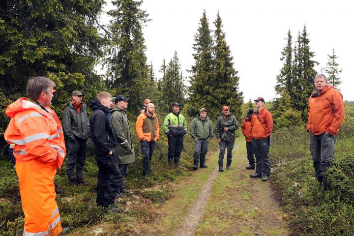 Ny forskrift om vernskog på trappene