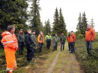 Ny forskrift om vernskog på trappene