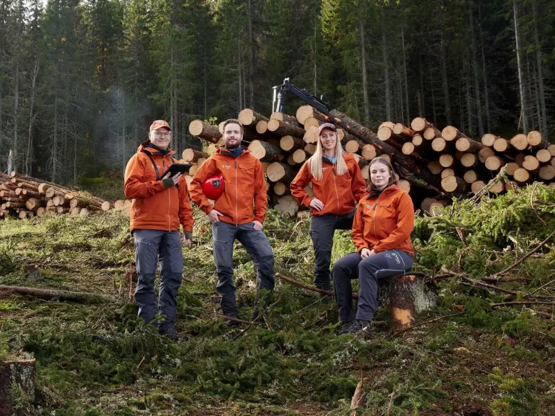 Ledig stilling som skogbruksleder