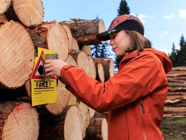 Vi har en ledig stilling som skogbruksleder i Askim.